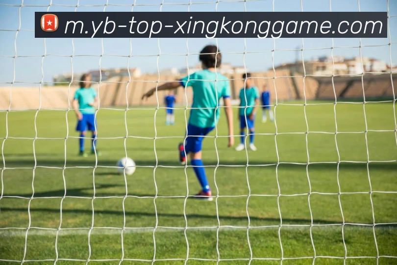 星空体育平台生态图