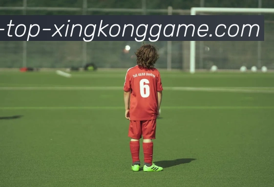 星空体育APP 封面图