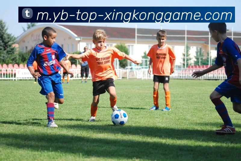 数据防护可视化